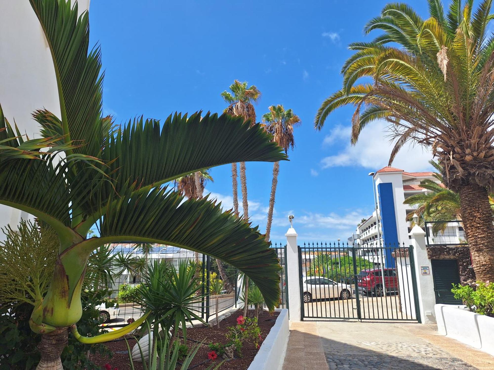 Apartamento Parque Margarita, Terraza Vista Piscina Los Cristianos  Exterior foto